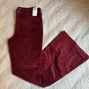 Velvet Hollister Flared Jeans